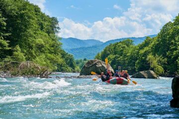 The Top River Tours for a Fun and Exciting Day Out